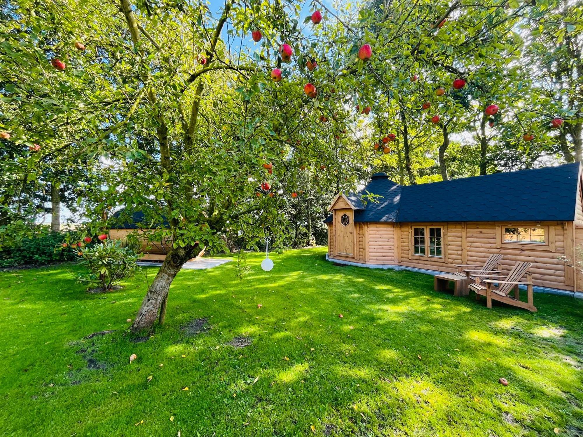 Bed & Breakfast Voor De Wind Slootdorp 외부 사진